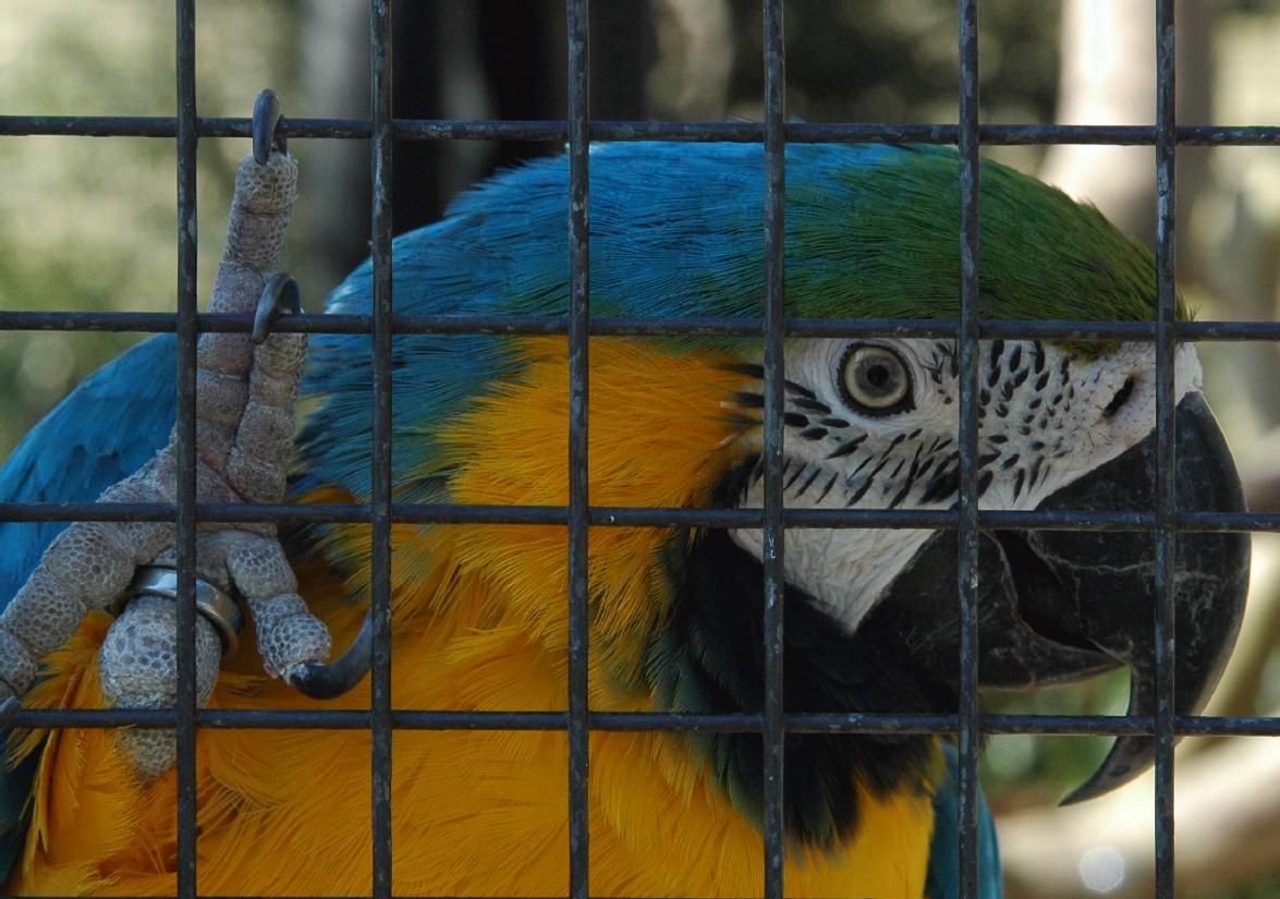 ./ZooStuttgartGermany2008_12_1177B.jpg