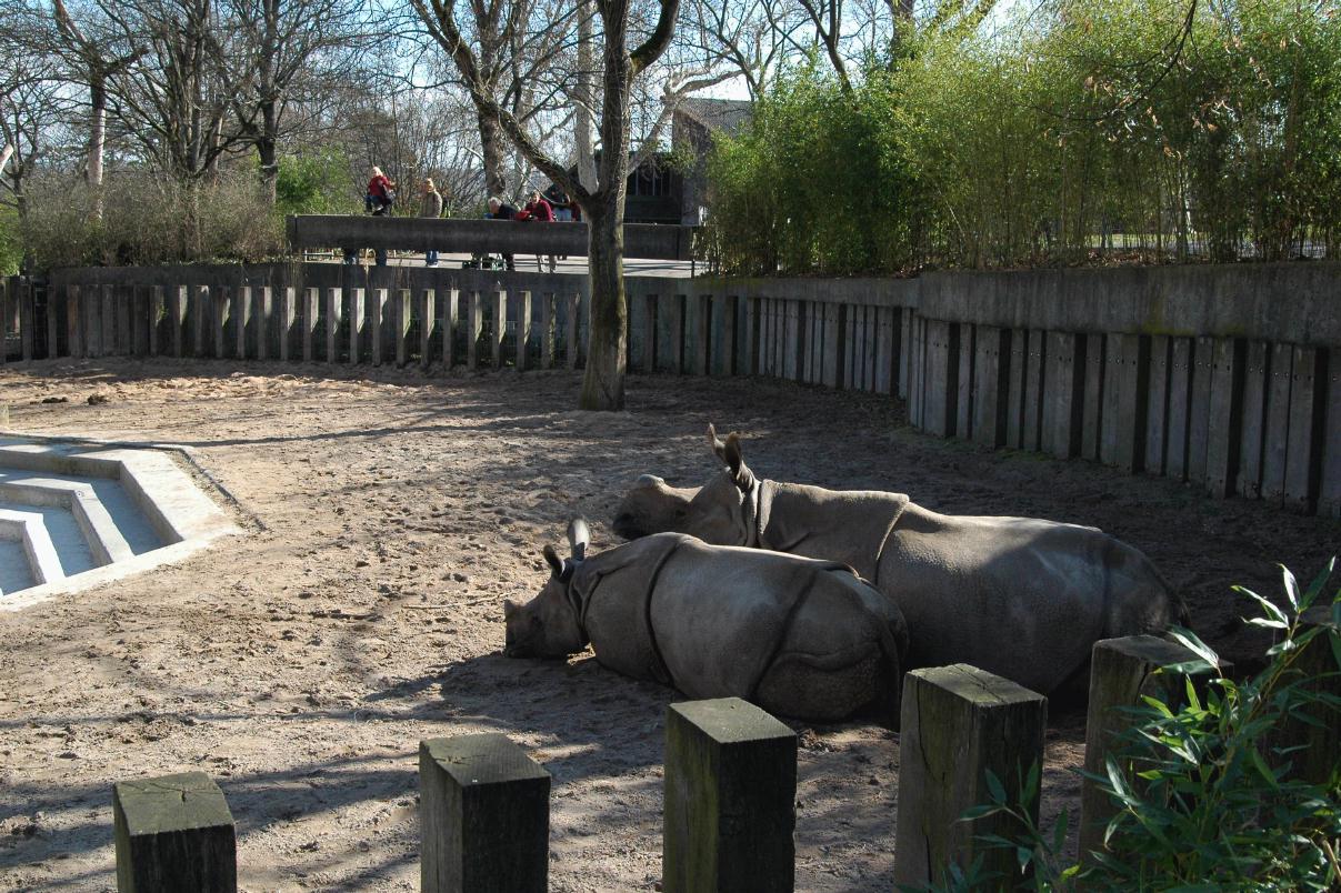 ./ZooStuttgartGermany2008_22_1189B.jpg