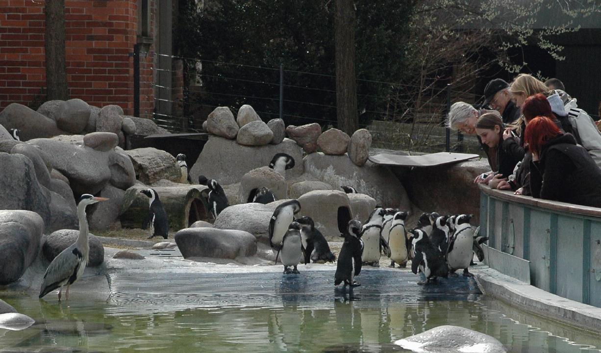 ./ZooStuttgartGermany2008_52_1278B.jpg