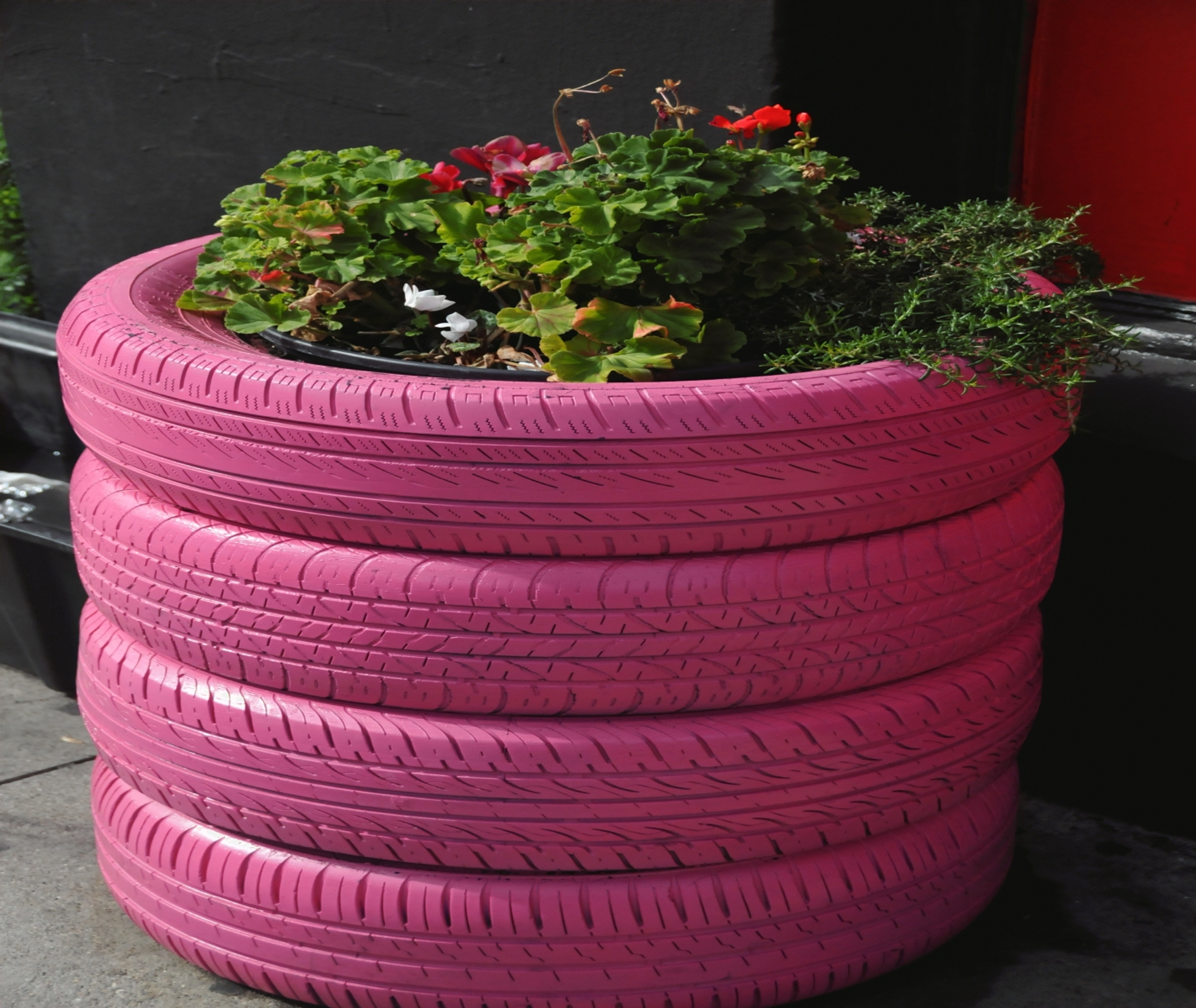 ./Plants_In_Tires_20241013_123415_C24_1223.jpg