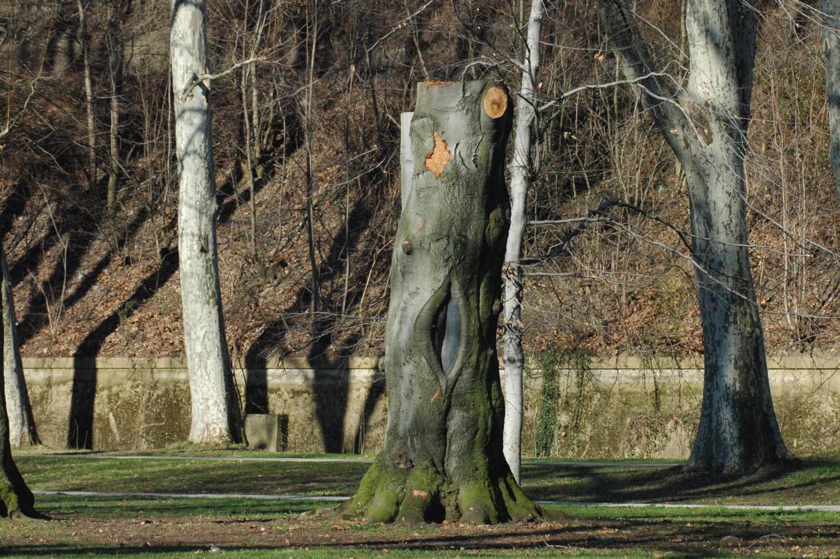 ./Stump20080309_SchlossgartenStuttgart_132814_1344T.jpg