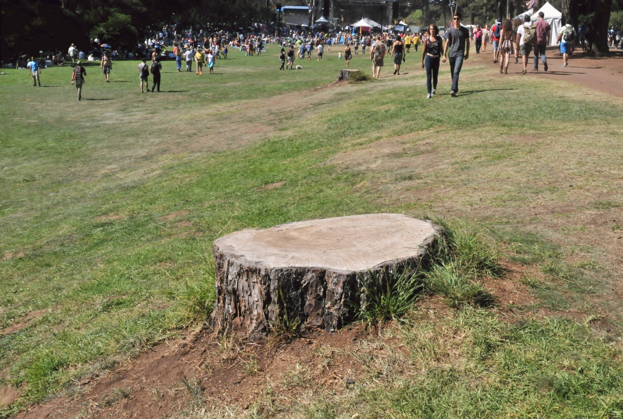 ./Stump_20141094_122946_Hardly_Strictly_Bluegrass_C14_7915.jpg