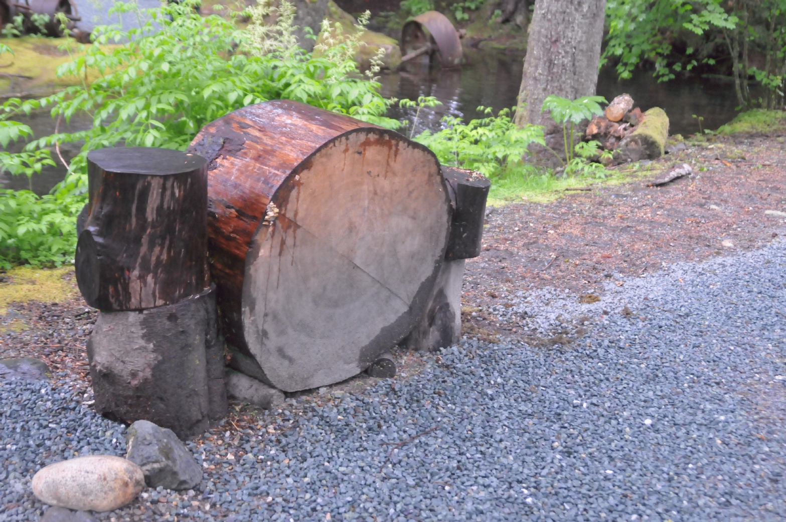 ./Stump_20150603_182044_Salmon_Bake_Juneau_Alaska_C15_2344.jpg