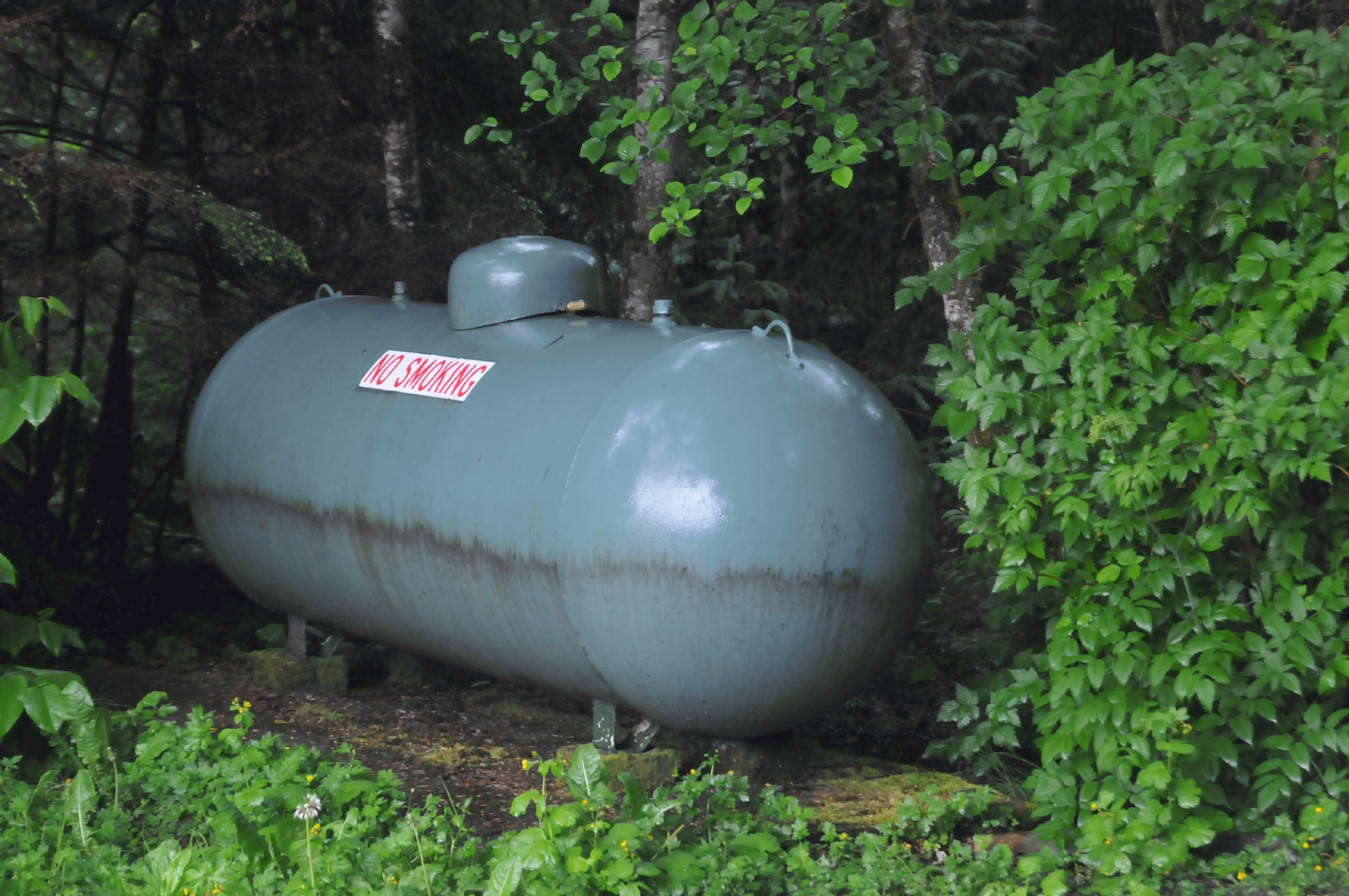 ./Propane_Tank_20150603_181926_Salmon_Bake_Juneau_Alaska_C15_2340.jpg