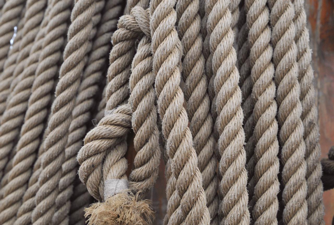 ./Rope20080726_FestOfSail_114902_1588BCX.jpg