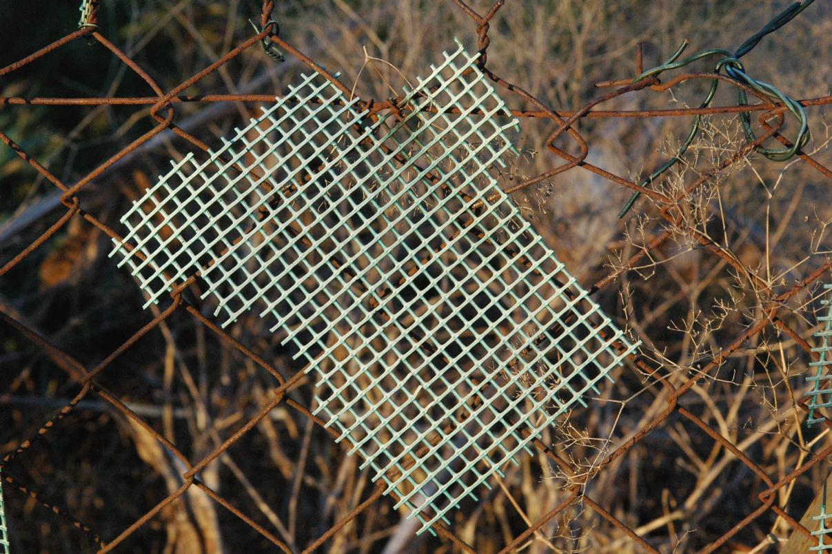 ./WireScreen2007_01.jpg