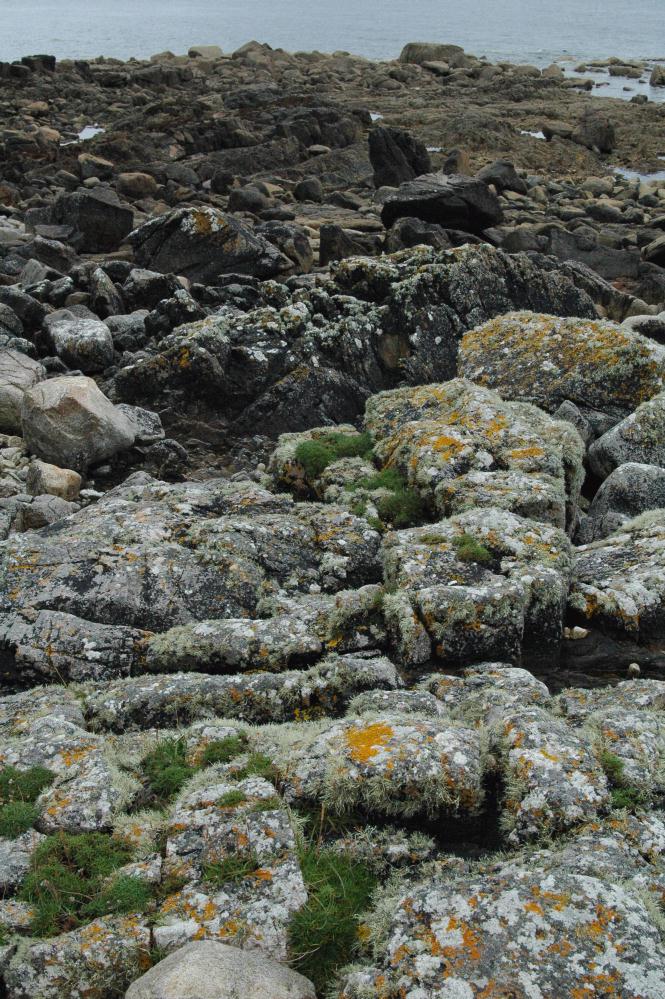 ./Rocks_Beach_20070000_Furbo_Ireland_01.jpg