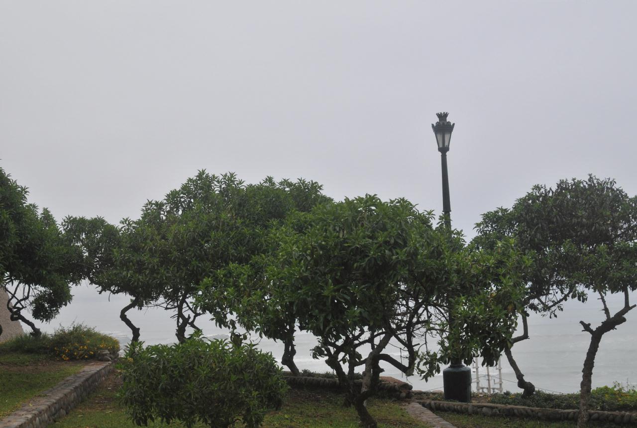 ./StreetlightLimaPeru20090411_094120_3727BCX.jpg