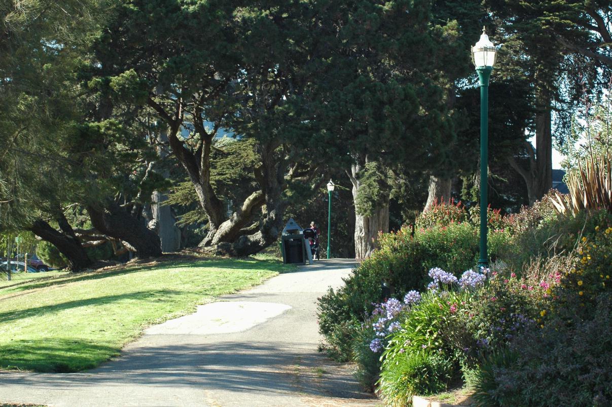 ./Streetlight20080000_AlamoSquare_3923B.jpg