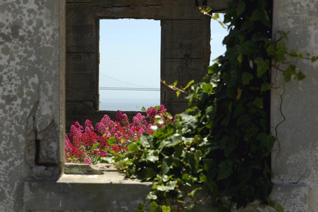 ./Prison_Window_20080608_114050_Alcatraz_Tour_DSC_3839.jpg