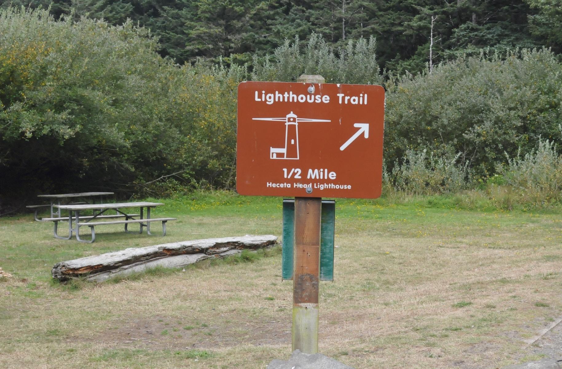 ./Heceta_Head_Lighthouse_20160907_124722_C16_9470.jpg