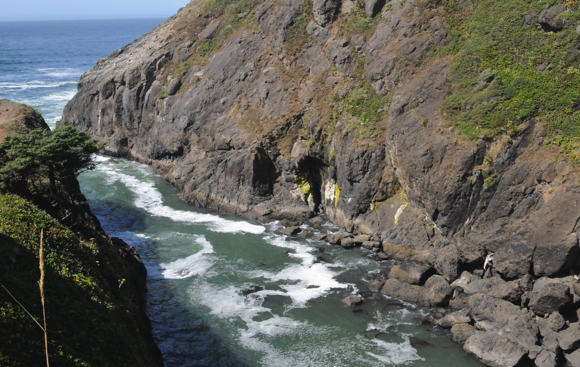 ./Heceta_Head_Lighthouse_20160907_131846_C16_9545.jpg