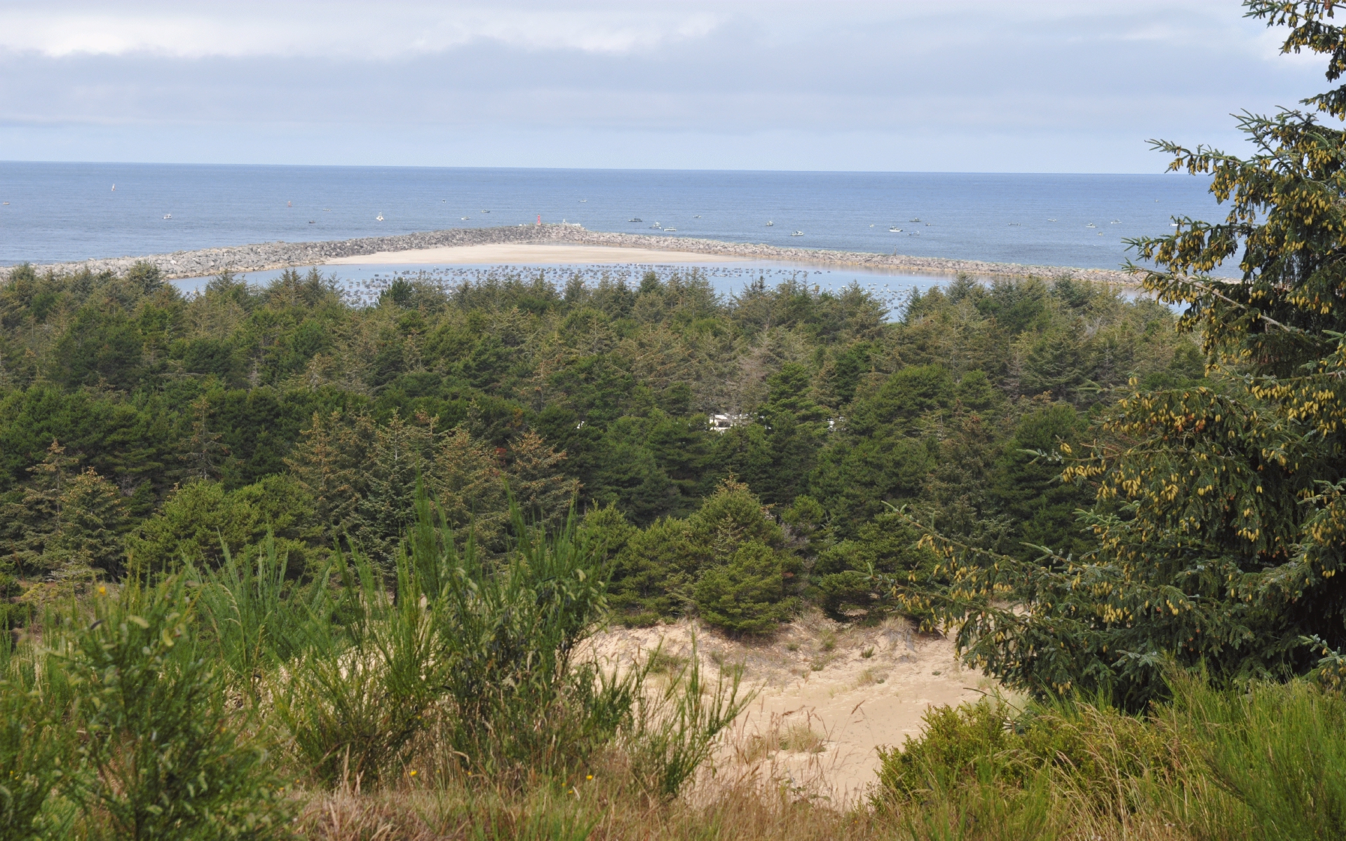 ./Umpqua_River_Whale_Watching_Station_20190716_103235_C19_3411.jpg