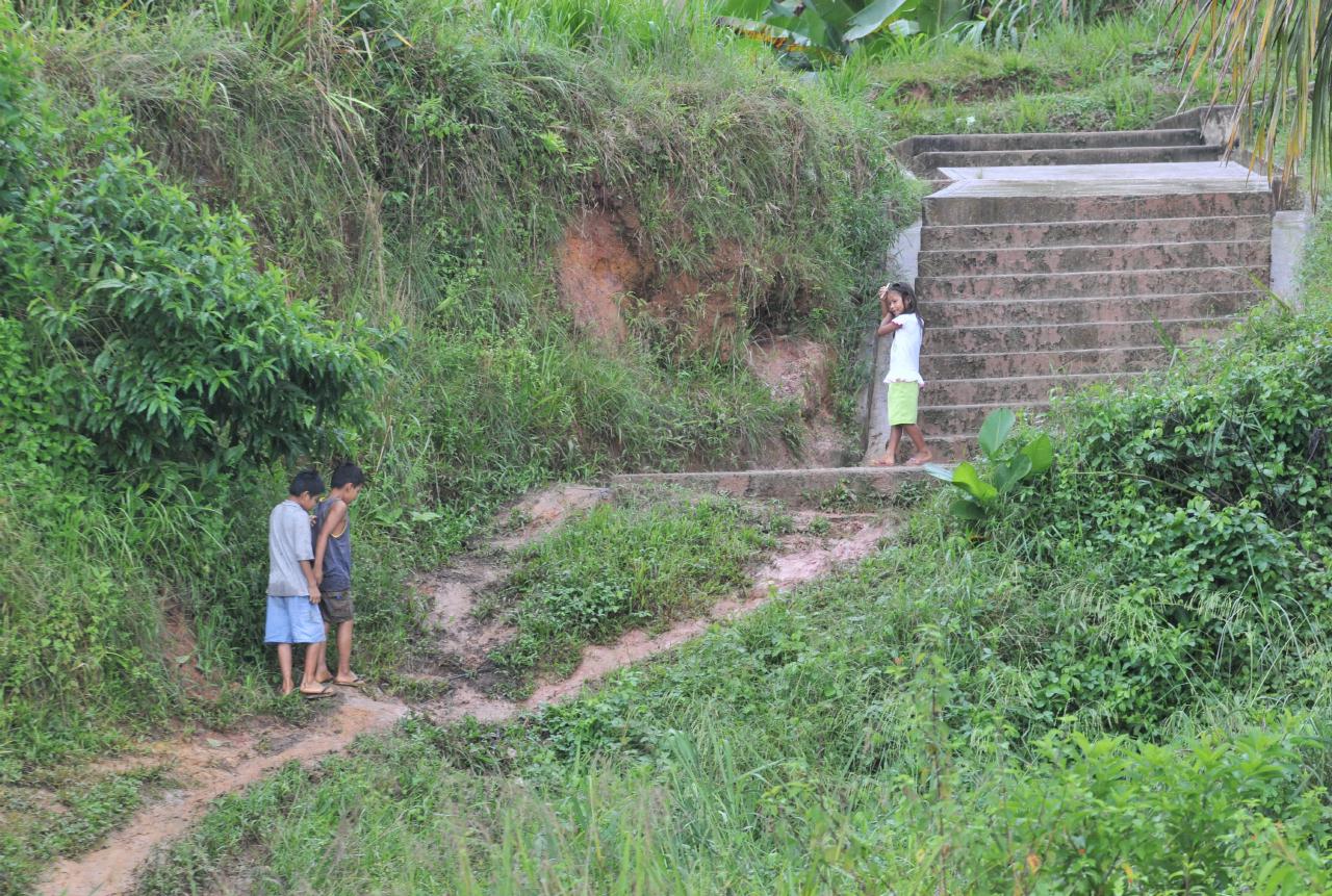 ./StairsAmazonRiverPeru20090410_071015_3163BCX.jpg