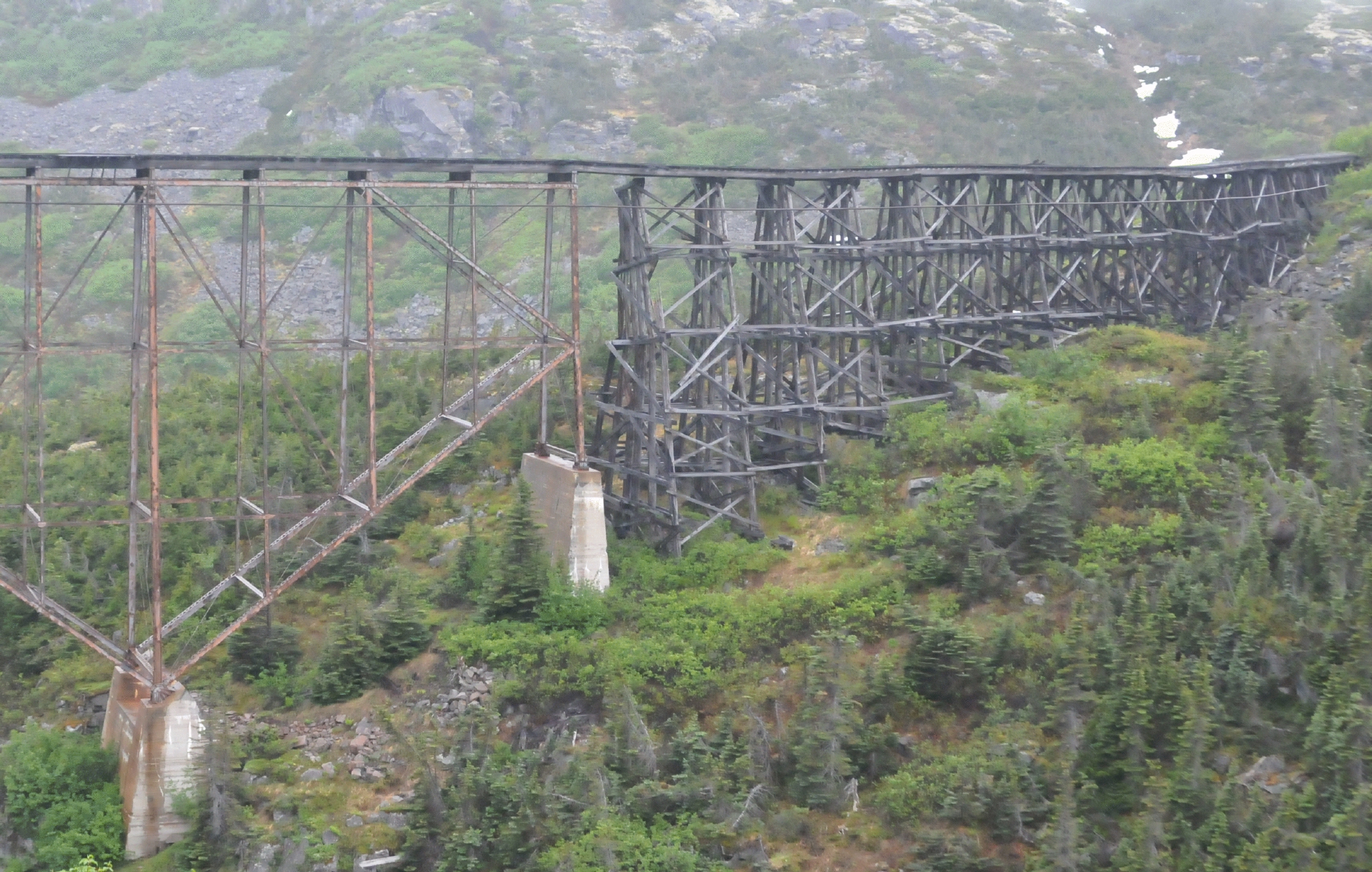 ./Skagway_Rail_Tour_20150604_094704_C15_2485.jpg