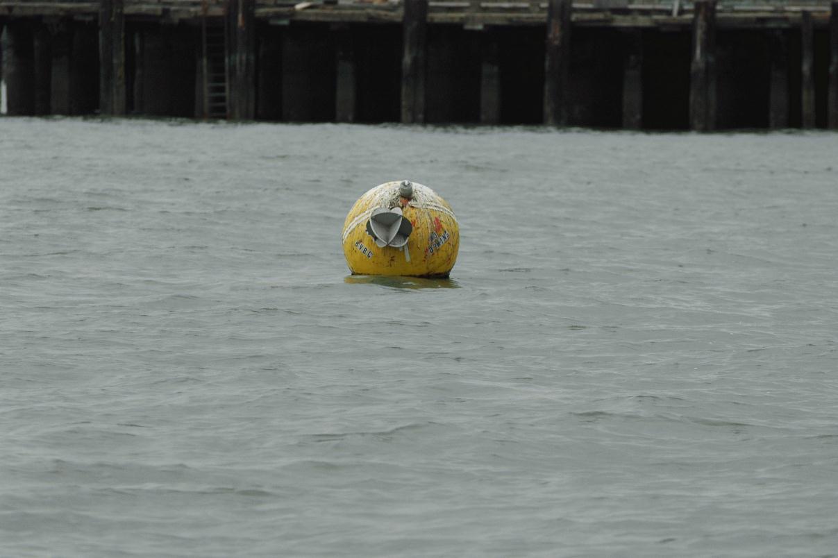 ./Buoys_20080000_MissionBay_3021B.jpg