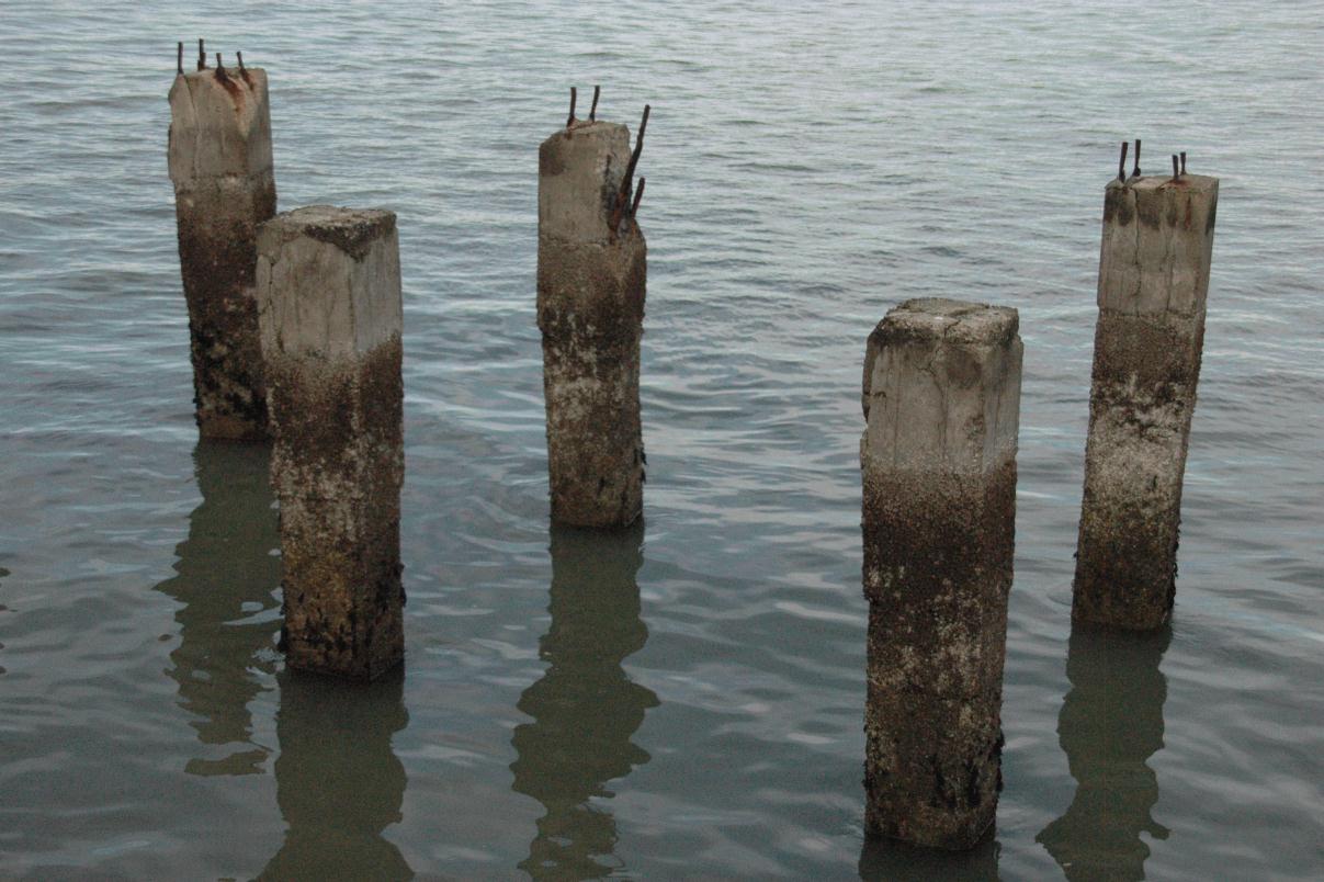 ./Marine_Piling_20070000_01.jpg