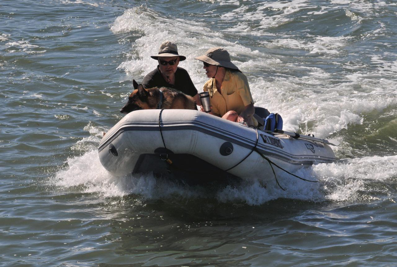 ./Dinghy_20080901_160506_Sausalito_Art_Festival_2864BCX.jpg