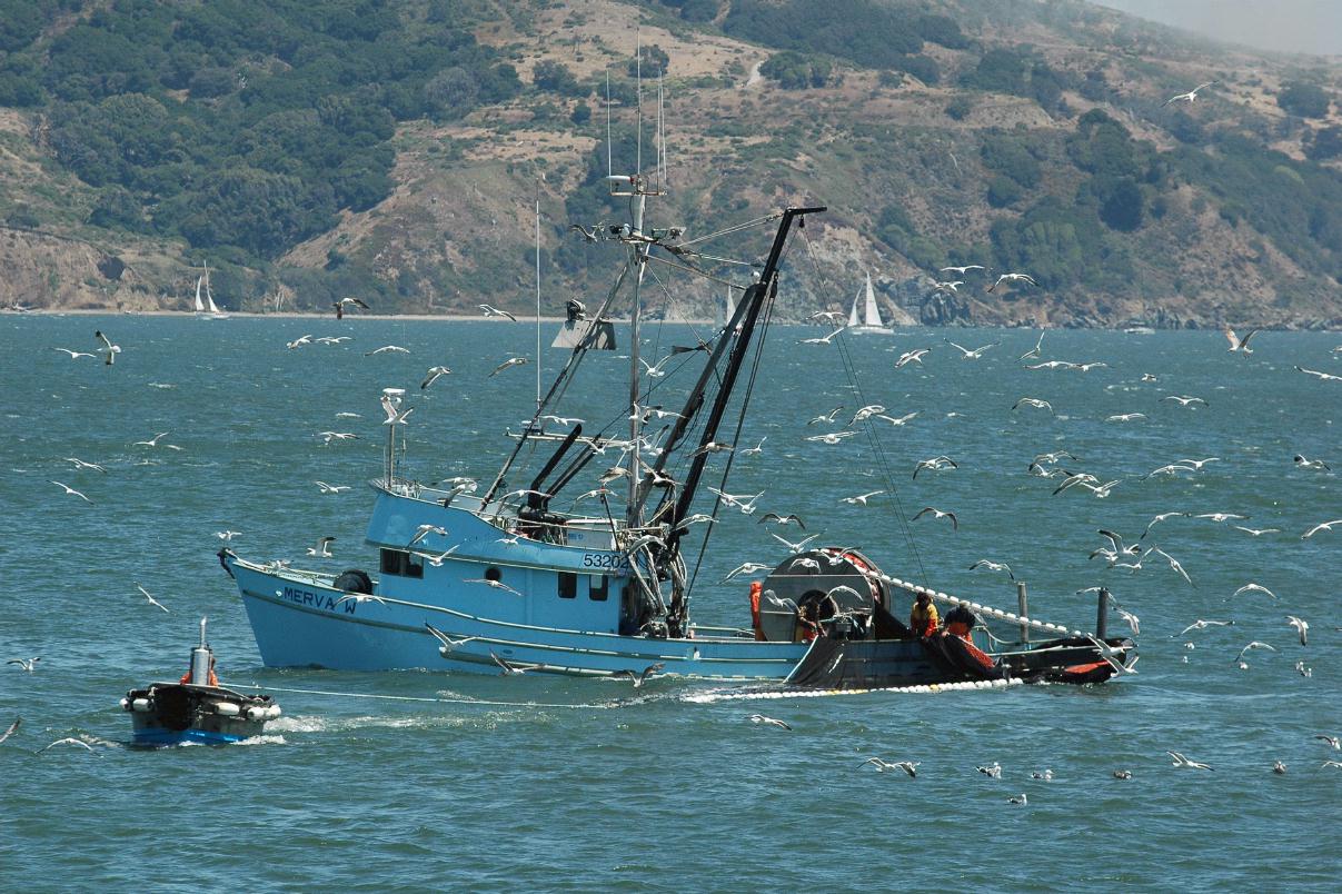 ./FishingBoat20080607_114322_HornBlower2008_2757B.jpg