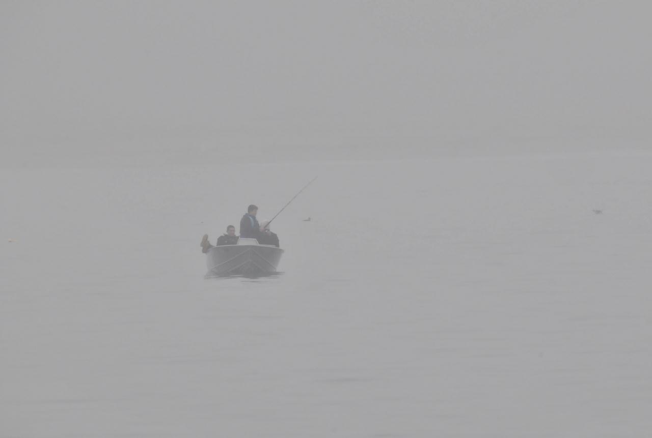 ./FishingBoat20081108_120552_BodegaBay_3514TNT.jpg