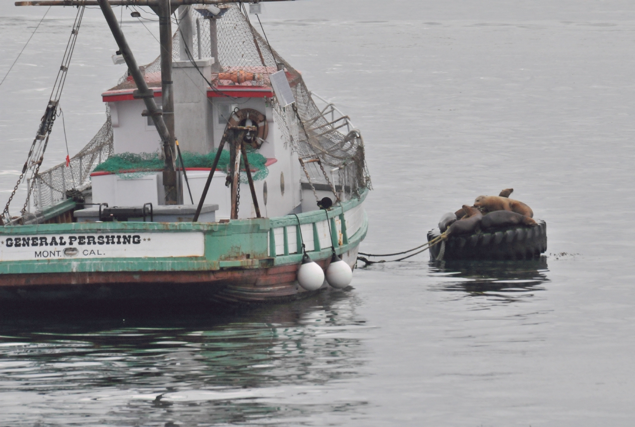 ./FishingBoat20101021_091842_General_Pershing_Monterey_Bay_TNT_0669.jpg