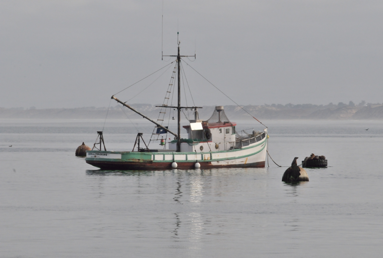 ./FishingBoat20101021_094758_General_Pershing_Monterey_Bay_BCY_2396.jpg