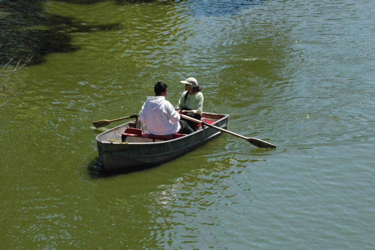 ./Row_Boat_20070000_12.jpg