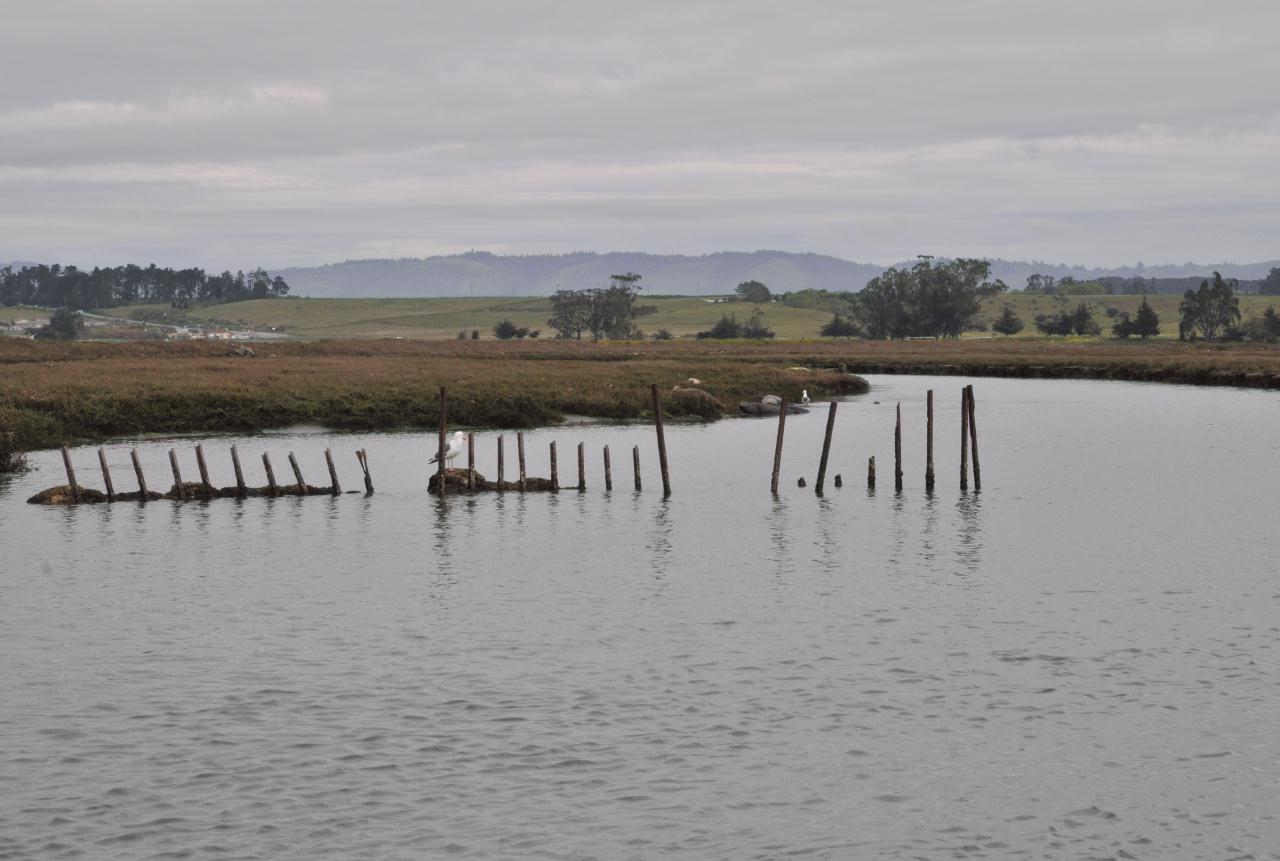 ./Shipwreck_20100312_101240_Elkhorn_Slough_Safari_2831BCX.jpg