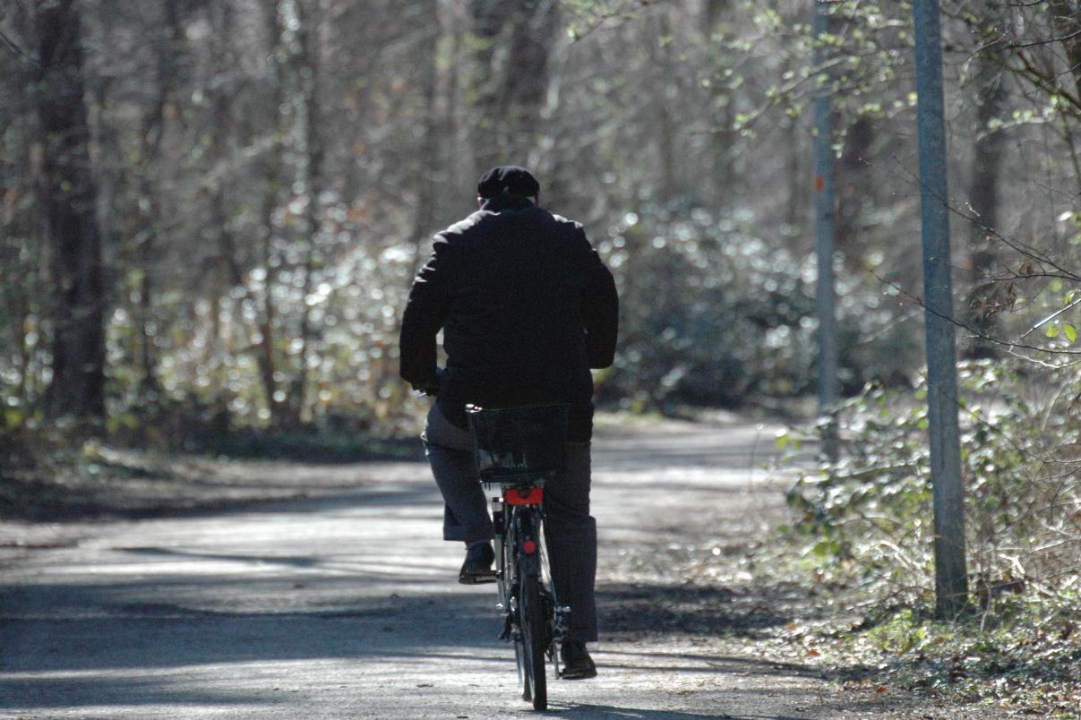 ./BicyclesKarlsruheGermany2008_0929T.jpg