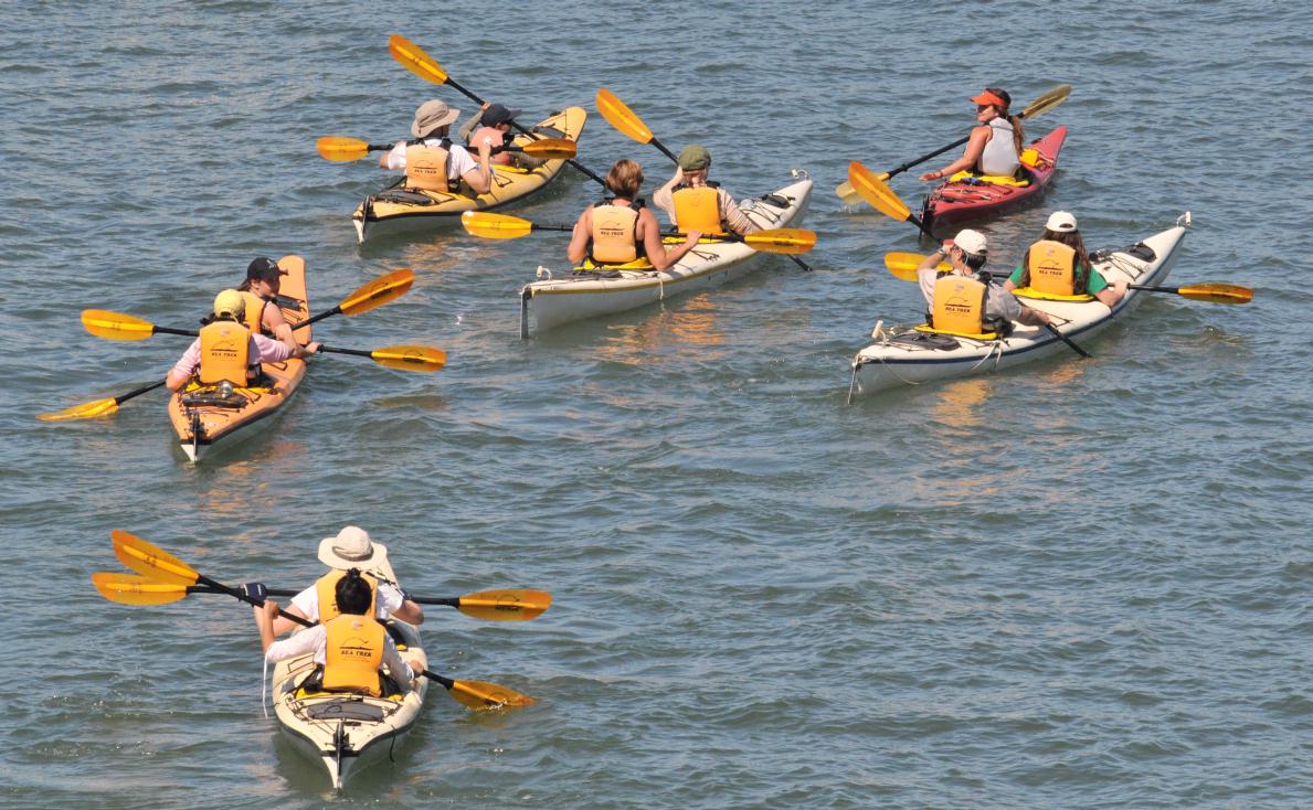 ./Kayak_20080901_132450_RichardsonBay_2742BCX.jpg