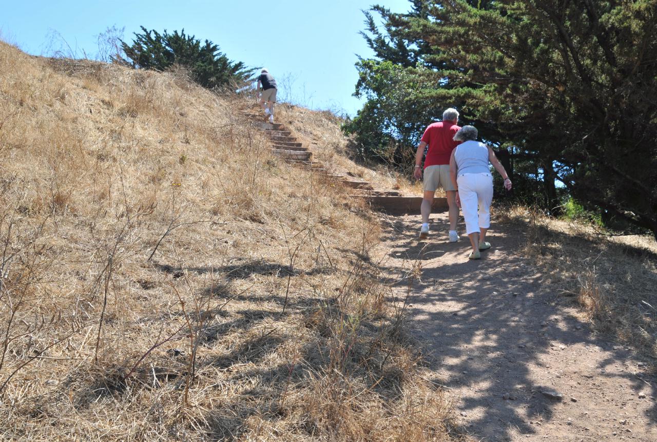 ./Stairways24BernalHeightsSF_42_20090805_151228_7764BCX.jpg