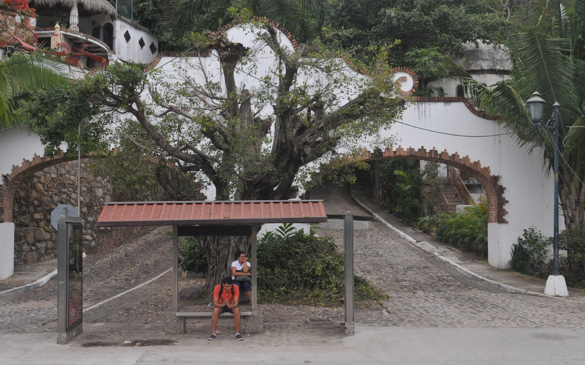 ./Puerto_Vallarta_Mexico_20180123_133833_C18_0578.jpg