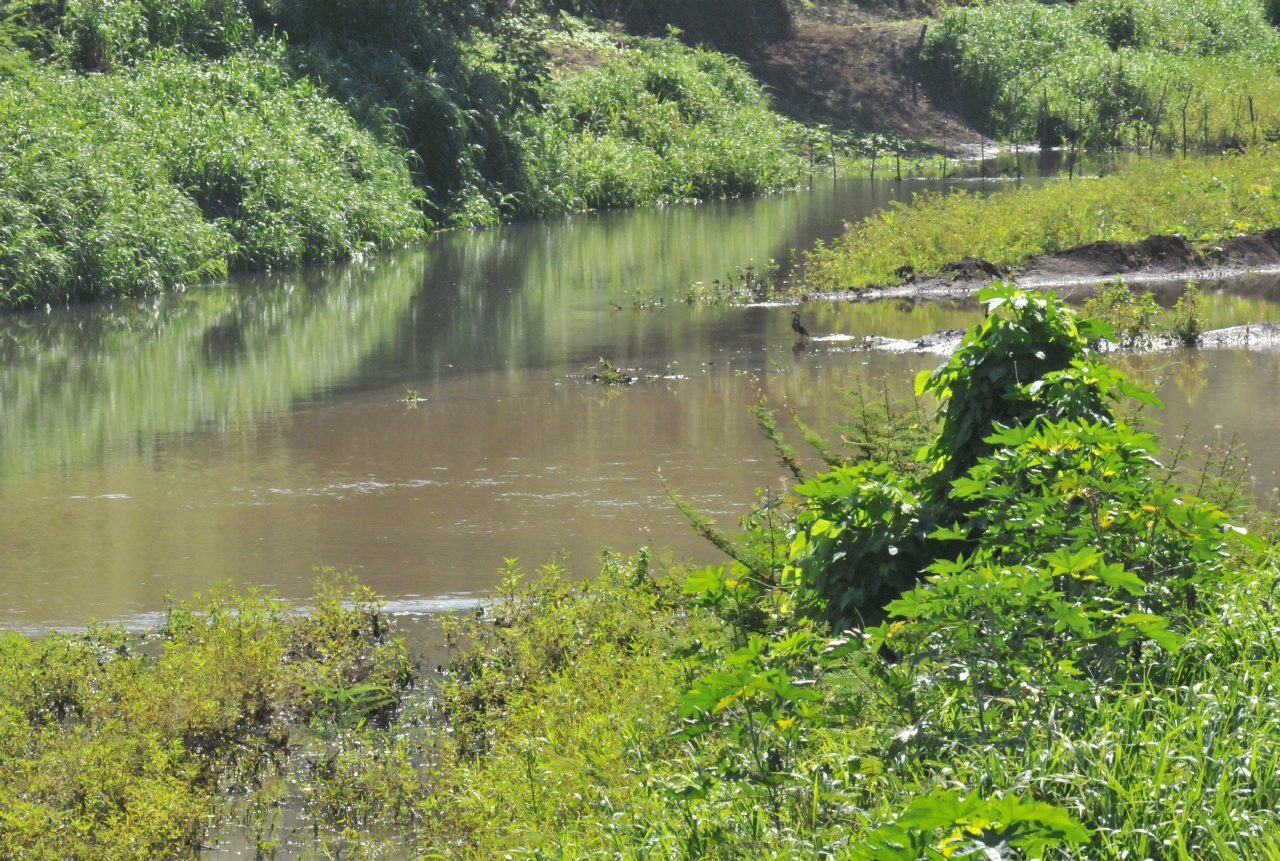 ./Costa_Rica_20140508_082547_T14_1089.jpg