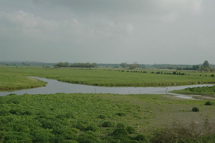 ./BaieDeSomme2006_24.jpg