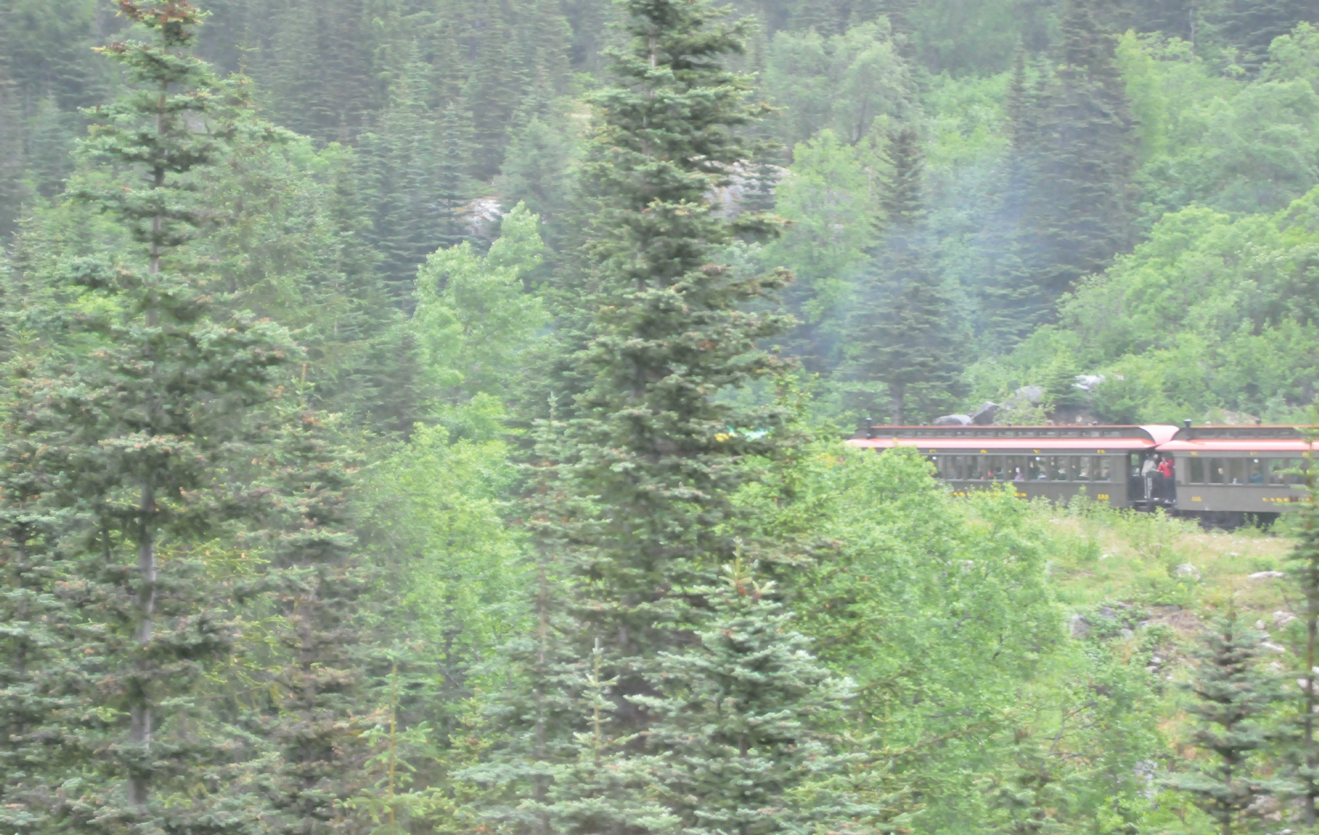 ./Skagway_Rail_Tour_20150604_092915_C15_2455.jpg