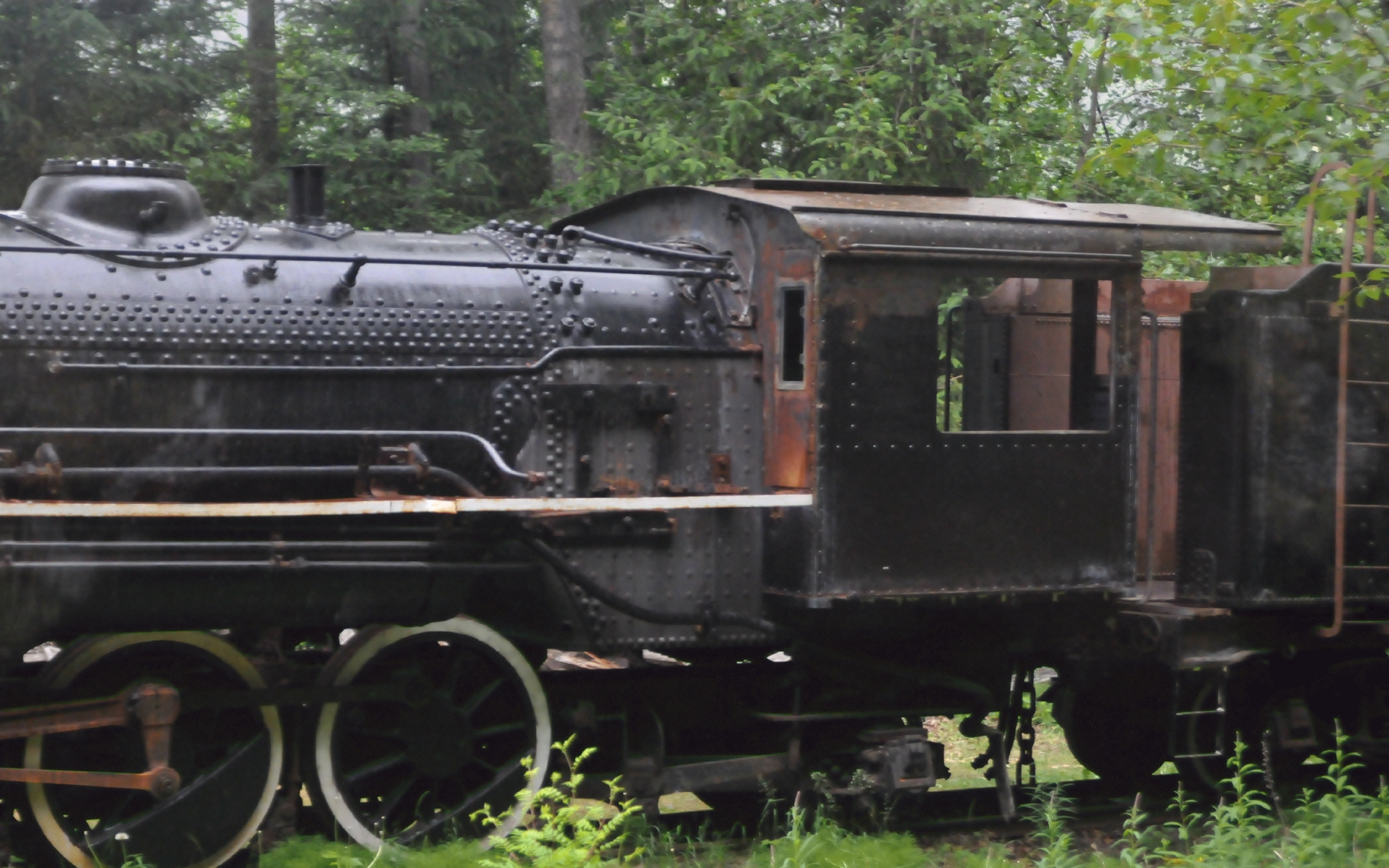 ./Skagway_Alaska_20150604_083301_C15_2387.jpg