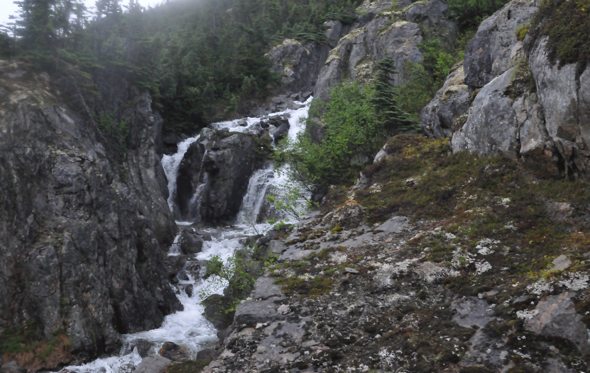 ./Skagway_Rail_Tour_20150604_103042_C15_2558.jpg