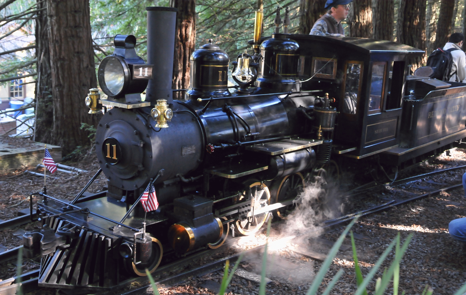 ./Tilden_Park_Steam_Railroad_20150124_00_133653_C15_0122.jpg