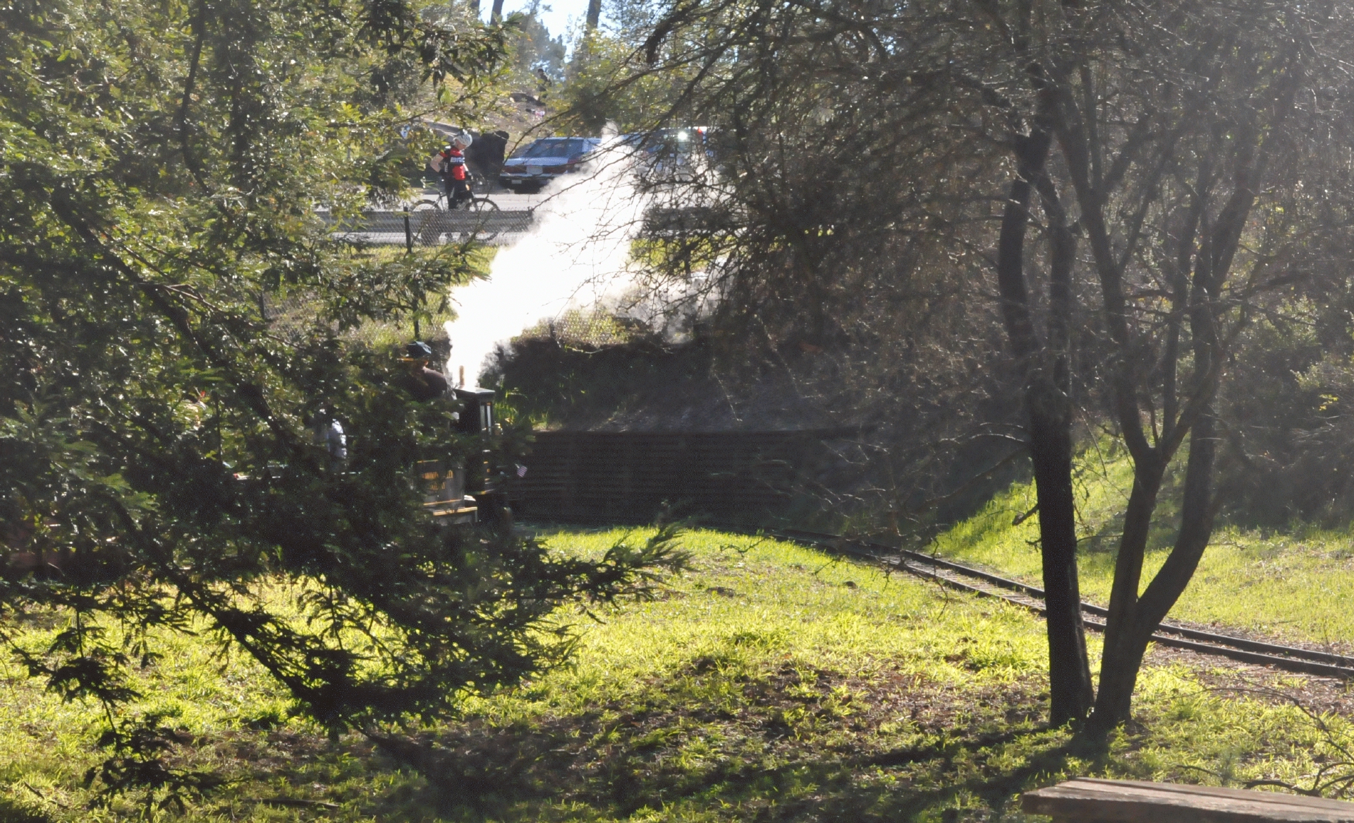 ./Tilden_Park_Steam_Railroad_20150124_133000_C15_0100.jpg