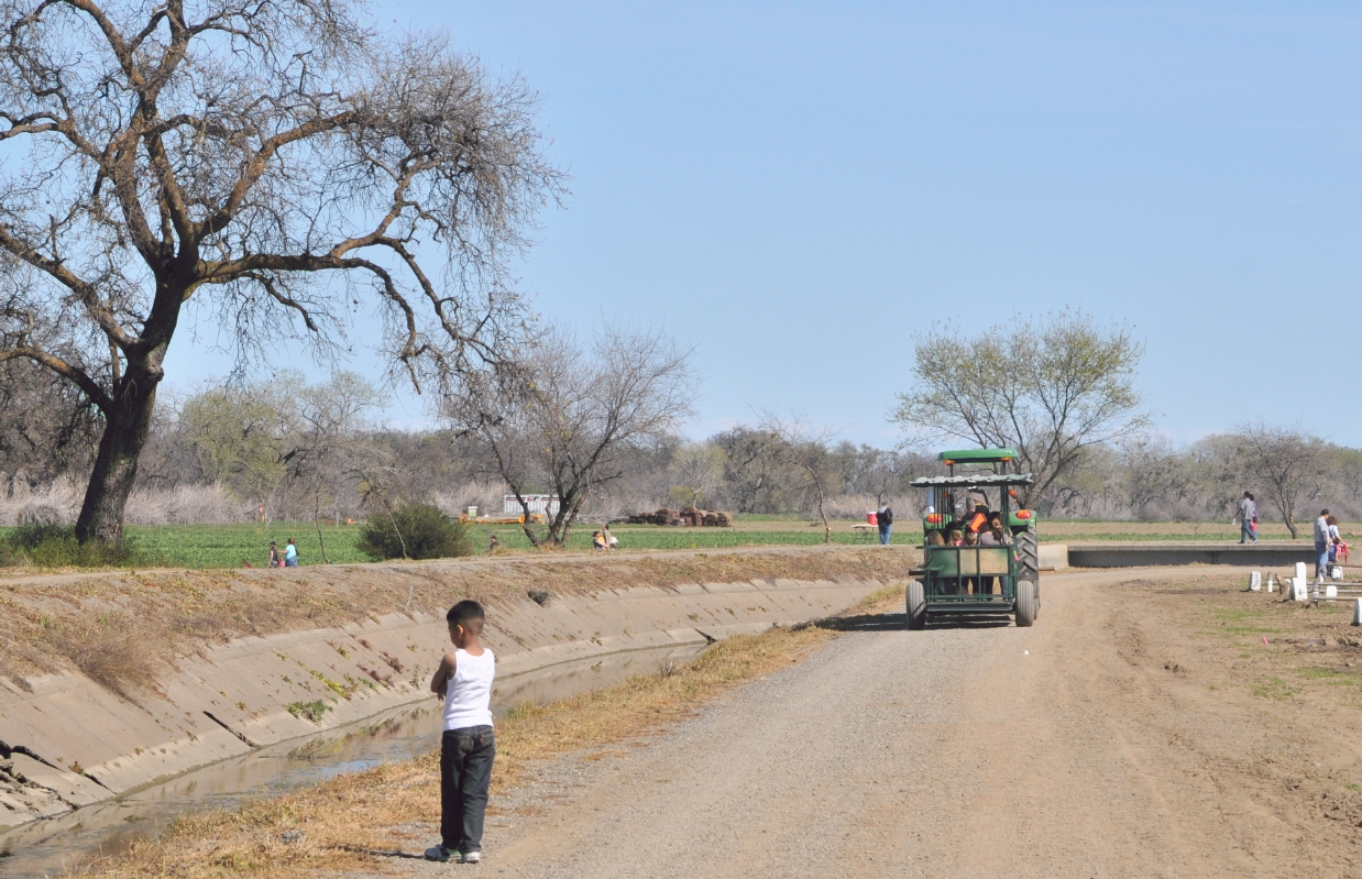 ./Capay_Farm_Train_20110312_135151_B11_3740.jpg