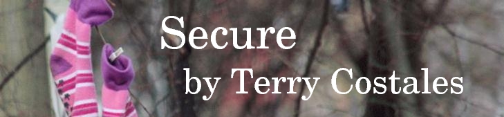 ./20081011_SecureByTerryCostales.jpg